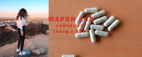 ГАЛЛЮЦИНОГЕННЫЕ ГРИБЫ Алзамай