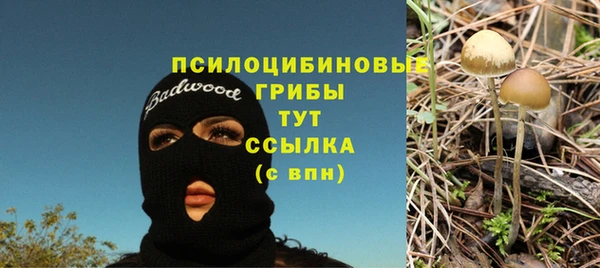 ГАЛЛЮЦИНОГЕННЫЕ ГРИБЫ Алзамай